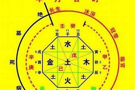 五行忌什么|八字五行喜忌查询